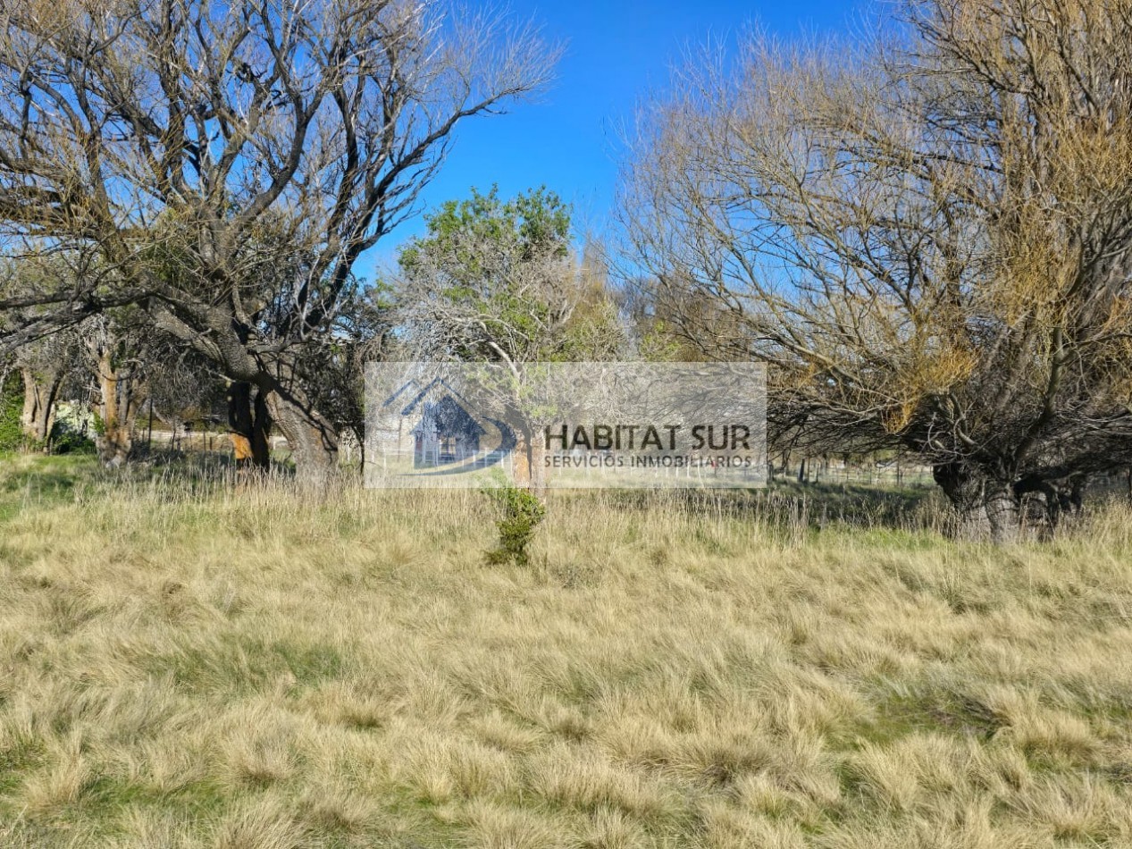 TERRENO DE 1Ha EN LOS CIPRESES PROV CHUBUT