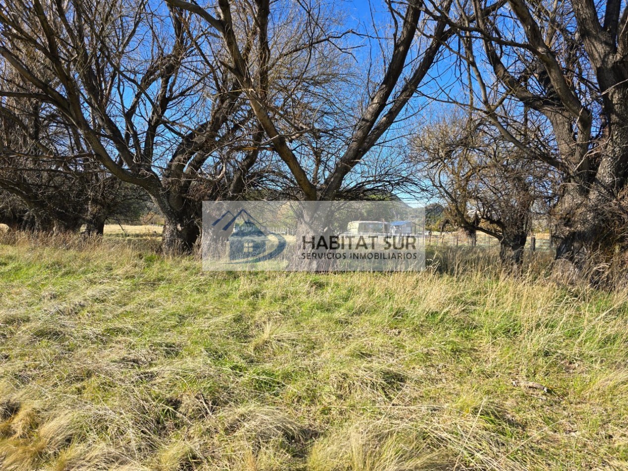 TERRENO DE 1Ha EN LOS CIPRESES PROV CHUBUT