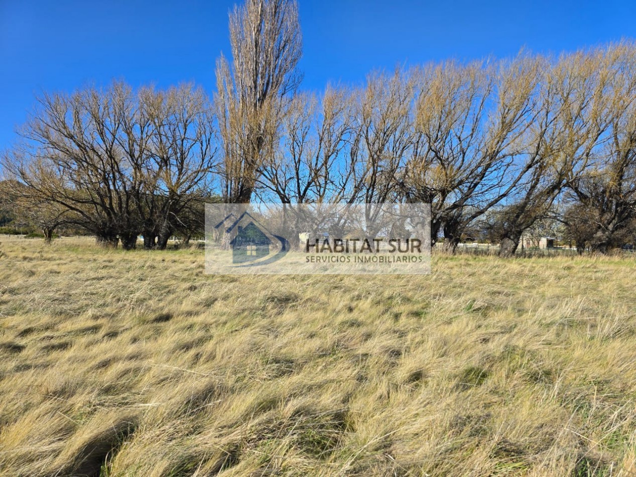 TERRENO DE 1Ha EN LOS CIPRESES PROV CHUBUT